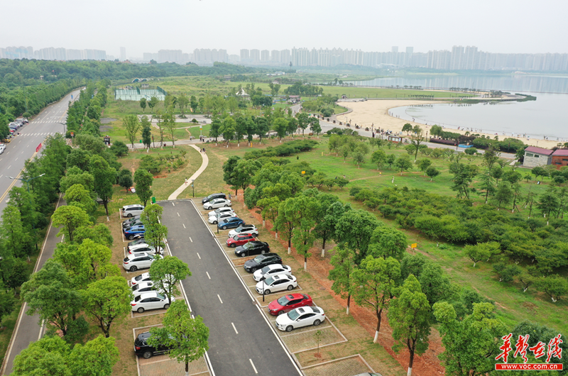 乌龙江湿地公园停车场图片
