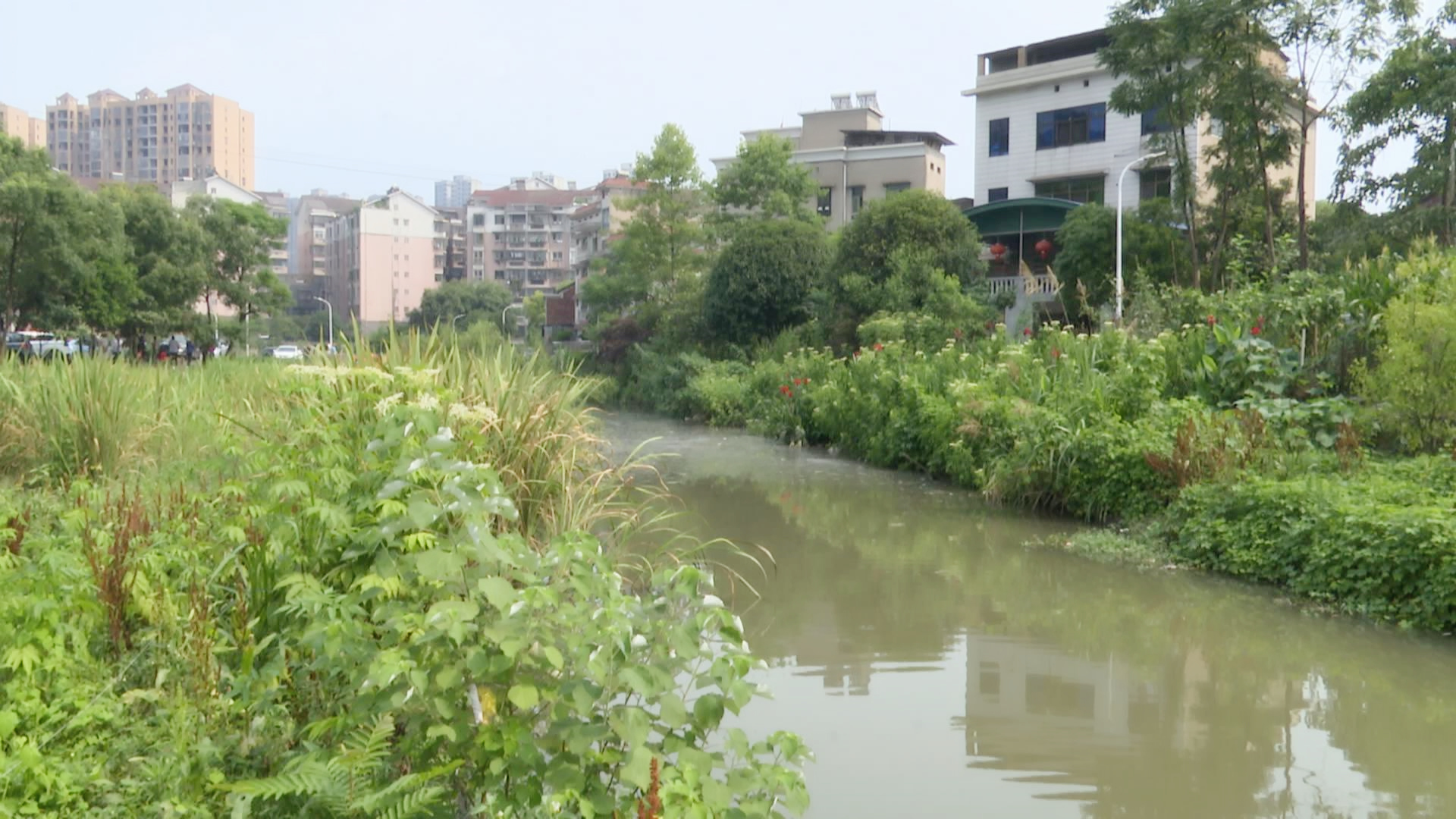 湖南省“洞庭清波”專項(xiàng)行動(dòng)督查組來(lái)冷水江開展現(xiàn)場(chǎng)督查