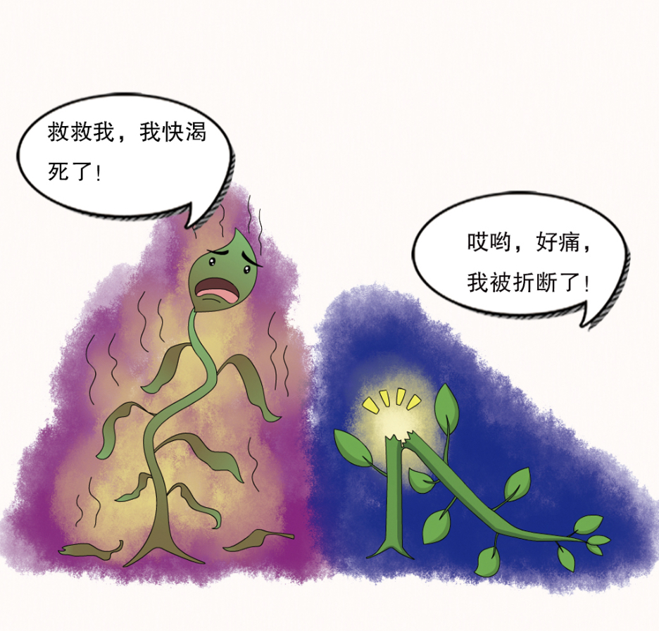 放学后·漫画｜奇怪的知识5：植物会“尖叫”吗？