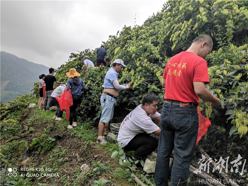 汝城文明瑶族乡丨既要金银装口袋，也让服务暖心田