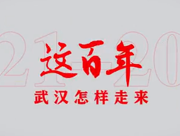 武汉这百年