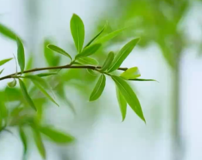 大型文献专题片《敢教日月换新天》第二十集《美丽中国》