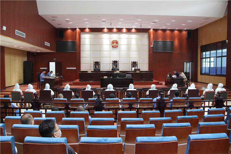 龙山县人民法院依法公开开庭审理一起特别重大贩卖毒品案件
