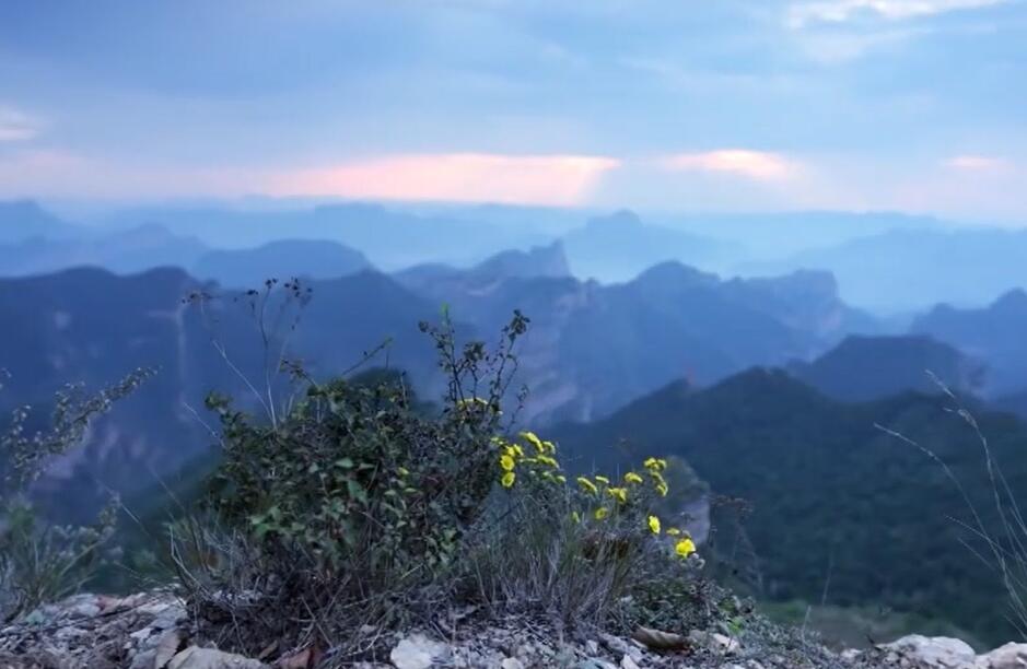 為有犧牲·左權(quán)：太行浩氣