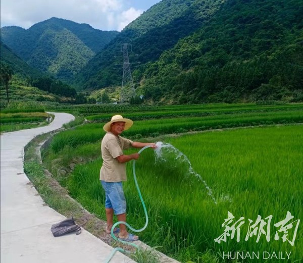 为民办实事|双牌茶林镇抗旱保收 守好农民粮袋子