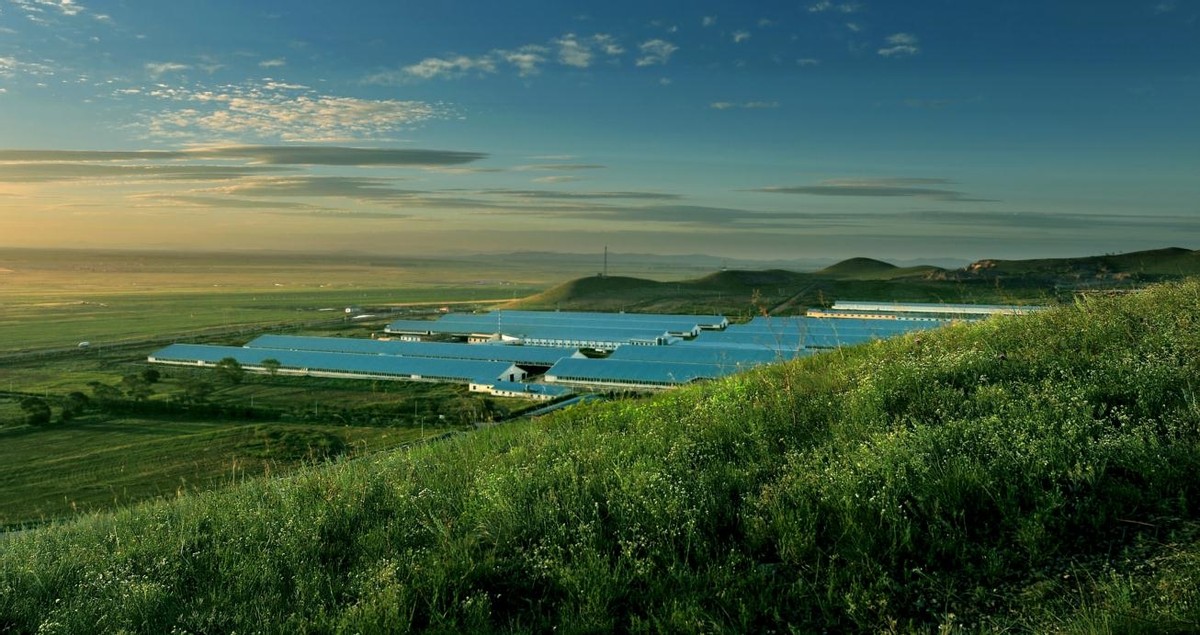 (蒙牛现代化绿色牧场)