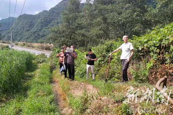 双牌茶林镇开展“送法律、化纠纷、保平安”活动 为民办实事