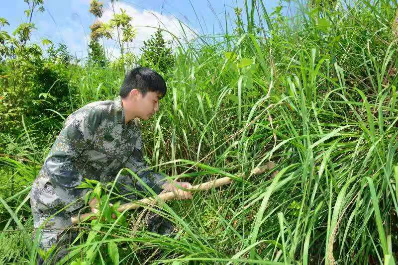 24歲退役軍人張鵬的桑梓創(chuàng)業(yè)夢