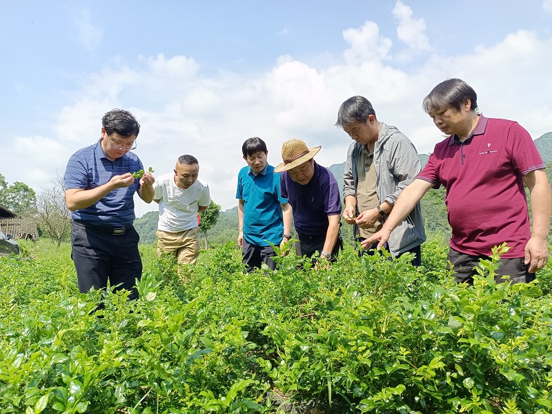 湖南农业大学专家组来永顺指导产业发展及抗病救灾
