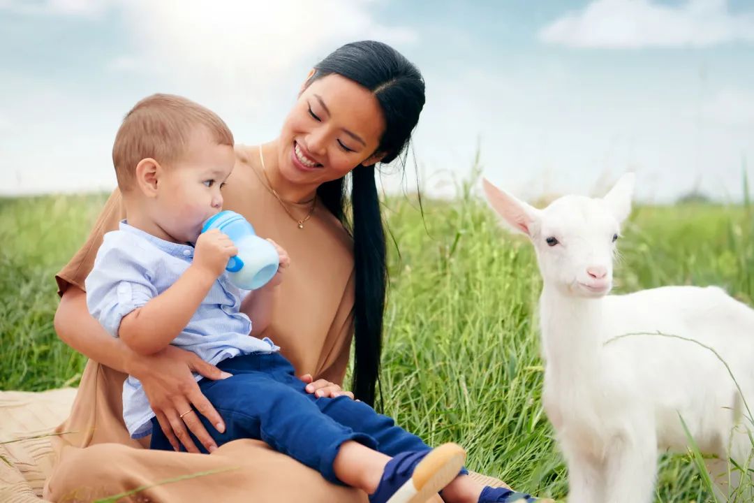 澳优颜卫彬：佳贝艾特的成就，是羊奶粉市场的成功