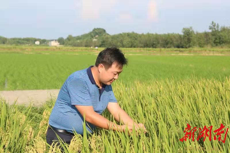 农民企业家李华平的成功之道：用科技引领优质粮油工程
