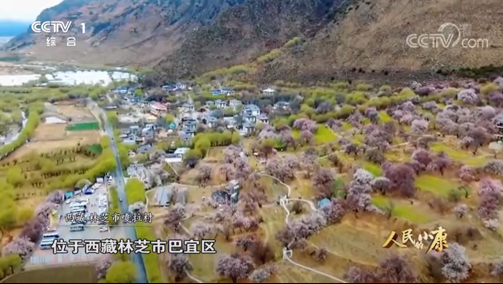 五集电视专题片《人民的小康》第四集《美好生活》