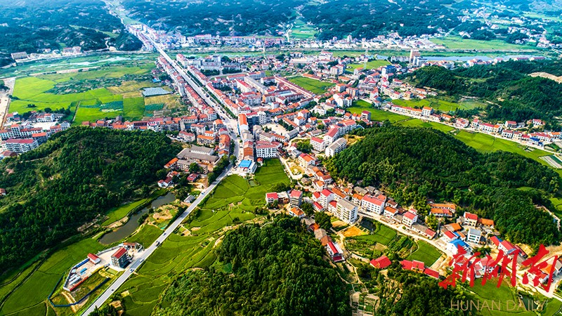 点燃"红色引擎" 助推公田镇村集体经济发展