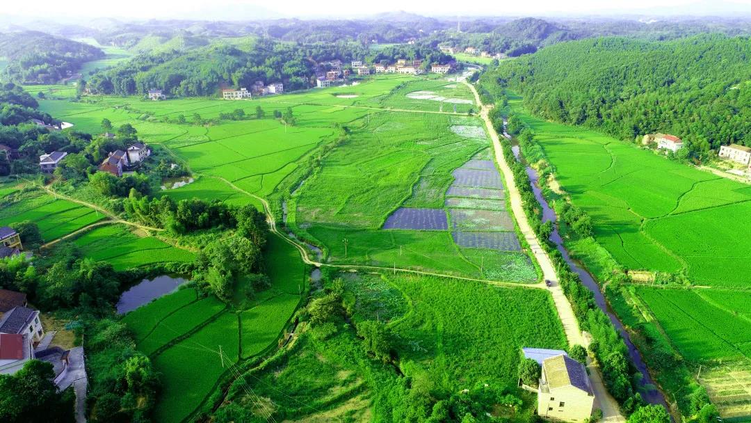 生态江河的实现之路湖南湘江漫江碧透看今朝