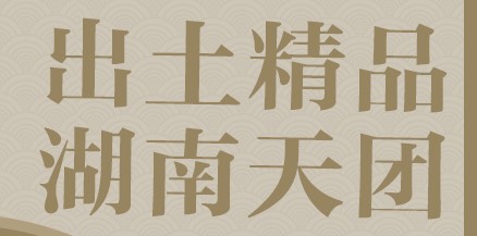 五十万年湖湘㉕丨海报：出土精品 湖南天团