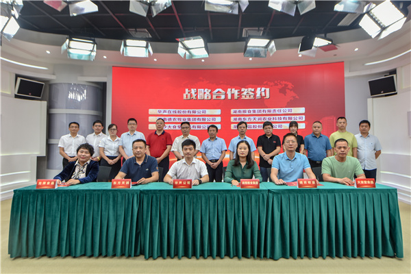 年度购销金额超2亿元，华声在线赋能团餐供应链