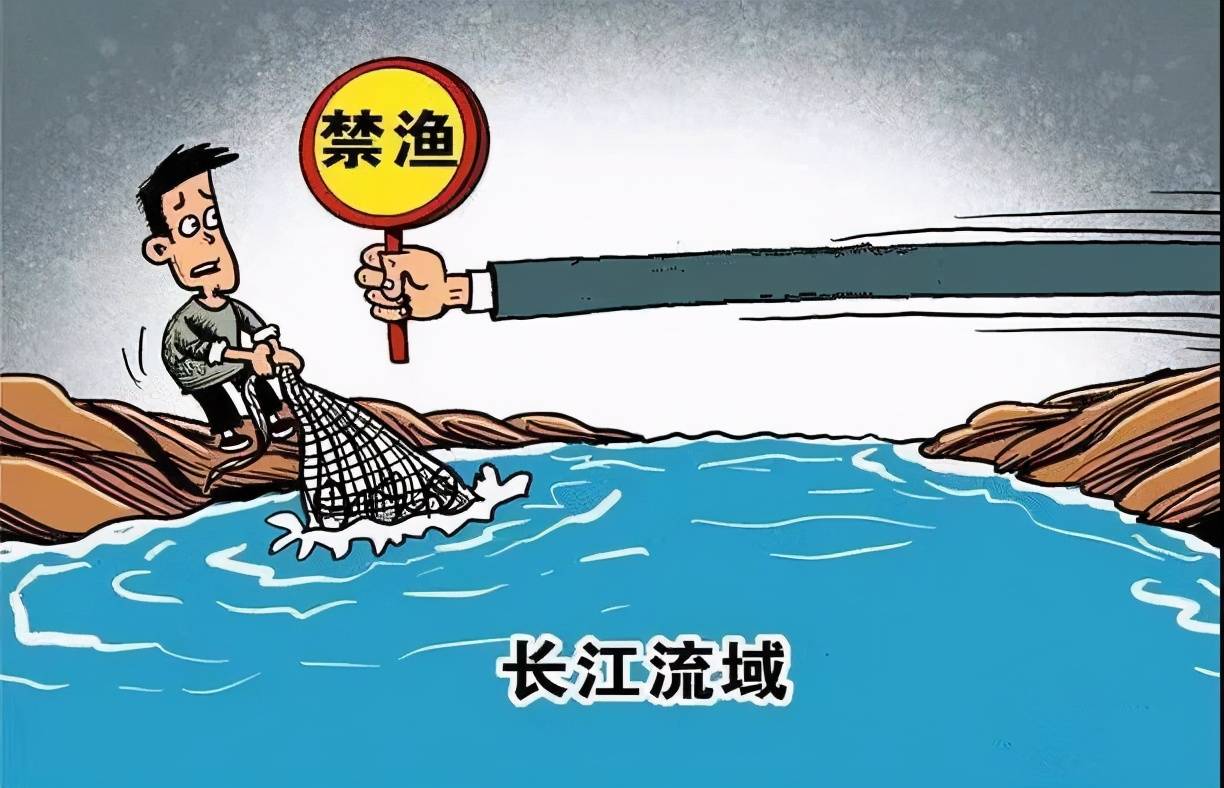 省市场监管局发布第二批“长江禁捕 打非断链”专项行动典型案例