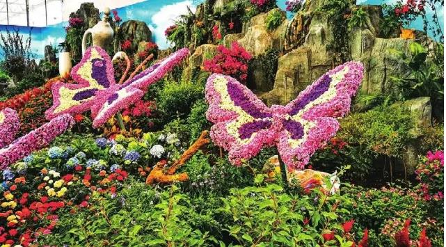 “花博会”要来了！它将给湖南人带来什么？