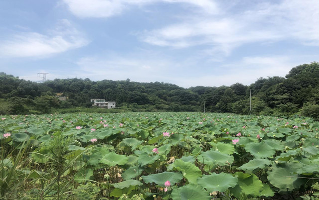 湖南日?qǐng)?bào)|岳塘區(qū)紅旗村：神奇的“紅十條”，治愈“依賴(lài)癥”“懶惰癥”