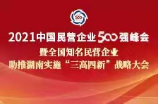 2021中国民营企业500强峰会