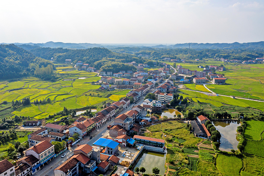 大峰村：兴“四美”谋“乡美”