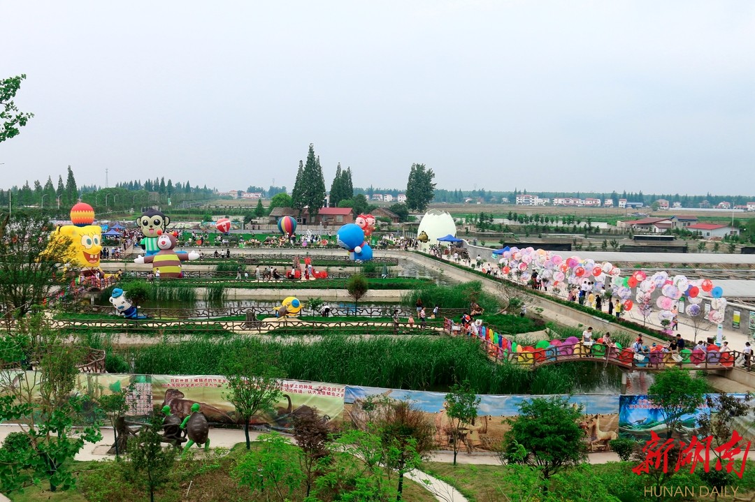  南县罗文花海景点游人如织。陈春燕 摄