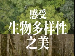 每一帧都很治愈，90秒聆听中国大自然的春夏秋冬