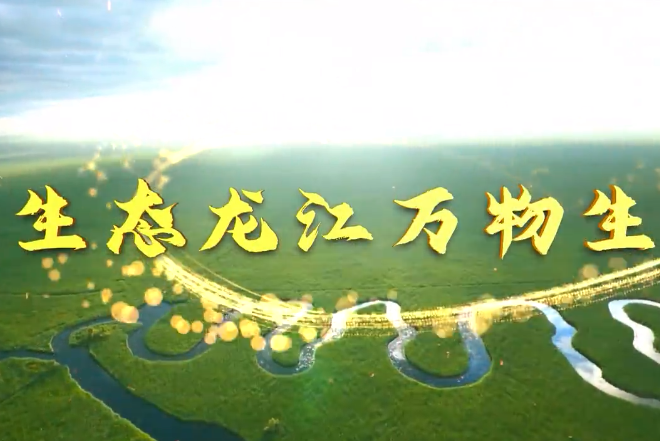 我们的共同家园｜生态龙江万物生