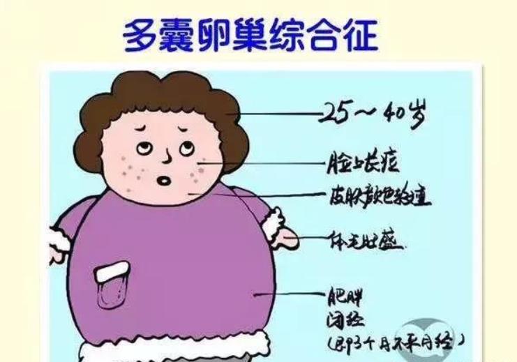 多囊一般什么时候来一次姨妈"兴致勃勃"-第1张图片-西安论坛资讯
