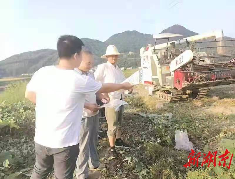 巡查人员在收割现场发送秸杆禁烧宣传资料。(图片由陈耀新提供) 巡查人员在收割现场发送秸杆禁烧宣传资料。(图片由陈耀新提供)