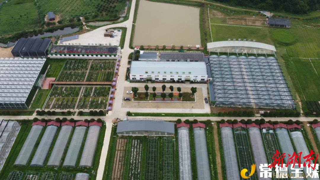 公司有占地面积1000亩的标准有机农场,(常德市郑太有机农场),主要生产