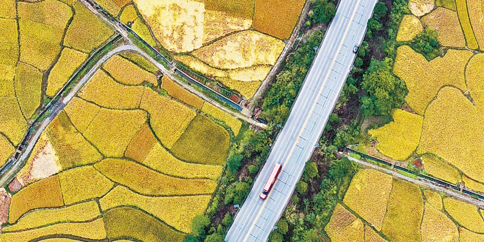 阡陌纵横 秋景如画