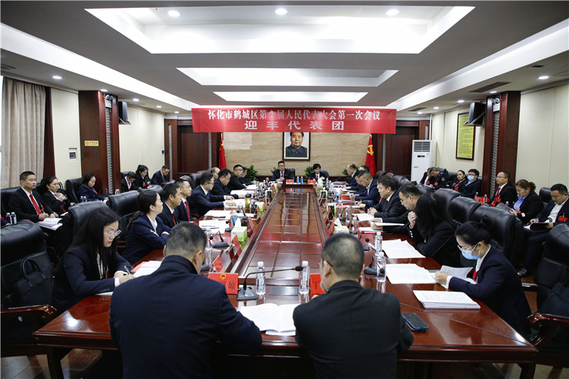 王海涛参加区六届人大一次会议迎丰代表团讨论