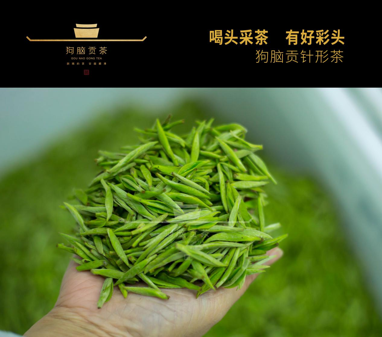 2021湖南茶叶乡村振兴"十大领跑品牌"之狗脑贡:昔日帝王"贡",今朝助民