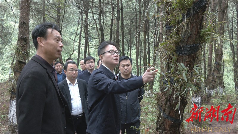 王海涛调研乡村振兴工作