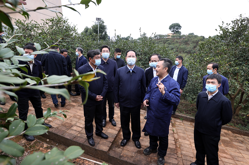 毛伟明调研种业发展：以一域之为解全局之急 为打好种业翻身仗作出湖南贡献