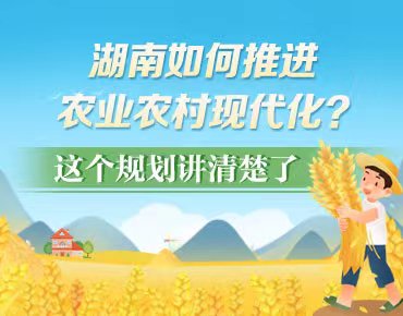 政策简读丨湖南如何推进农业农村现代化？这个规划讲清楚了