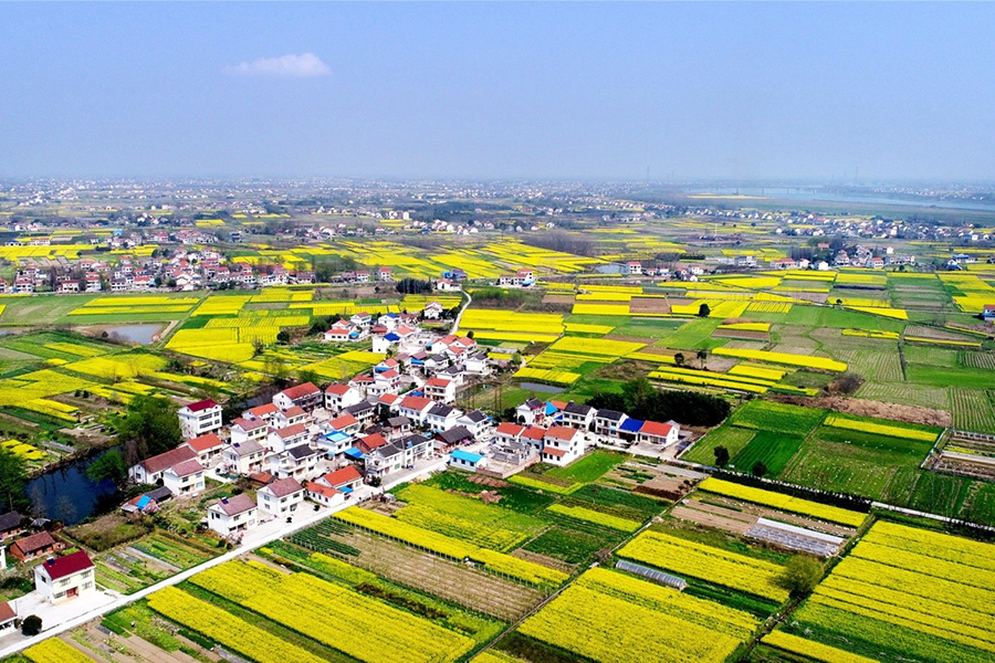 芦荻山乡：七个“千亩产业工程”助力乡村振兴