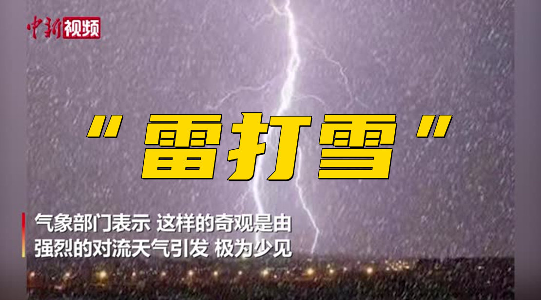 [4]当前系统环境不支持播放该视频格式