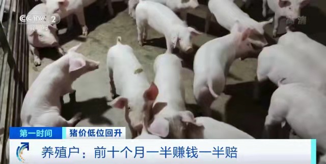 猪肉价格涨近30%，还会继续涨吗？农业农村部释放重要信号