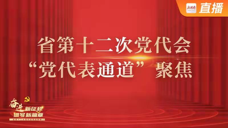 直播丨湖南省第十二次党代会“党代表通道”
