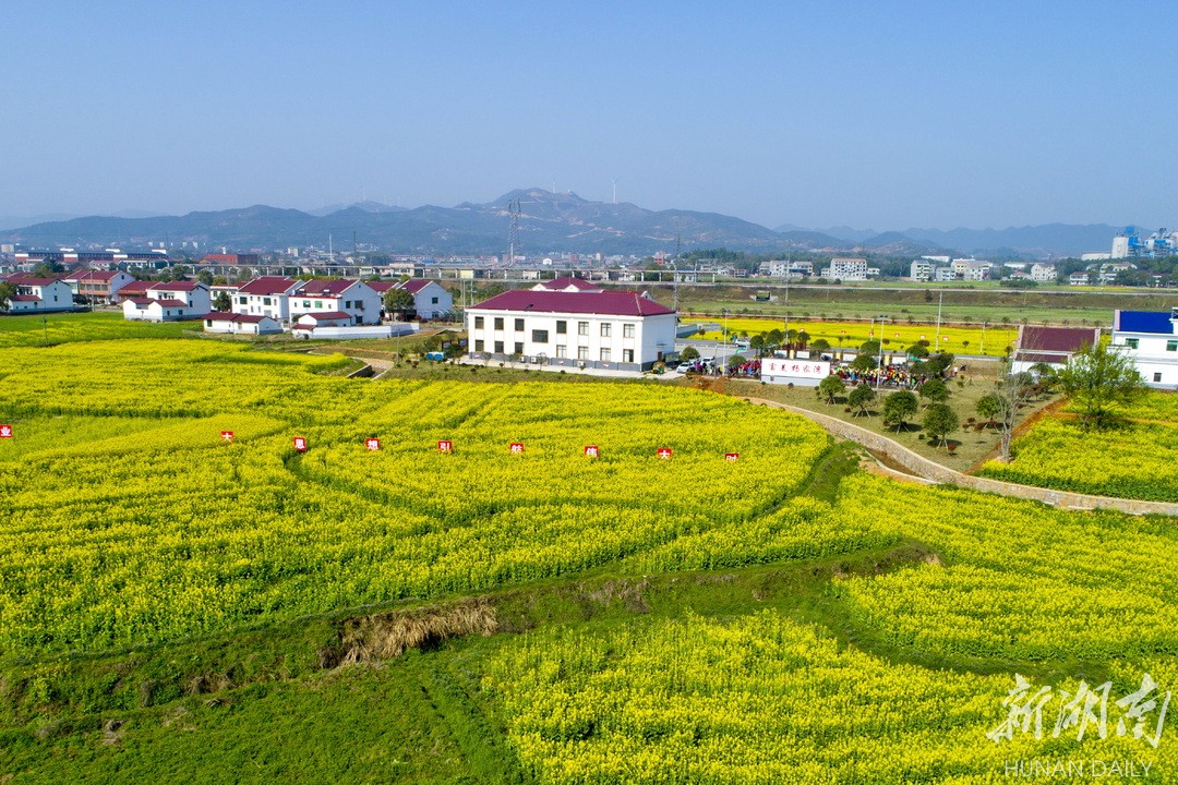 益阳灰山港镇图片