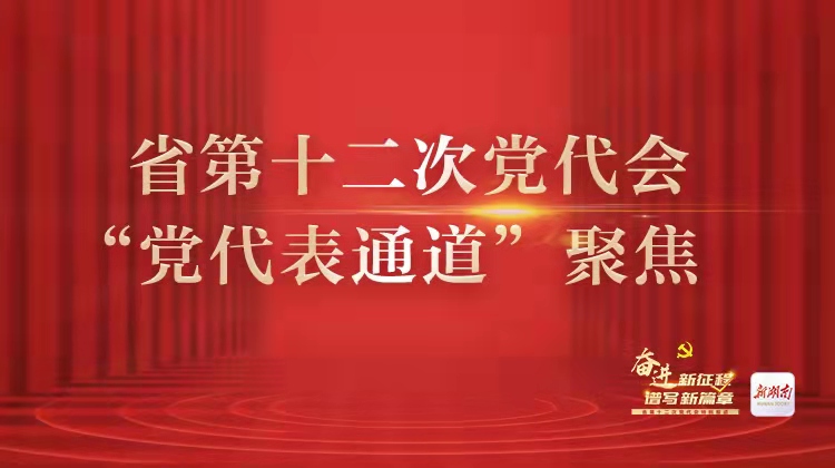 直播回顾丨聚焦湖南省第十二次党代会党代表通道