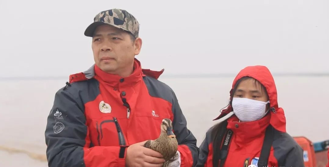 访谈江豚爸爸徐亚平野生动物迎来了生命的春天