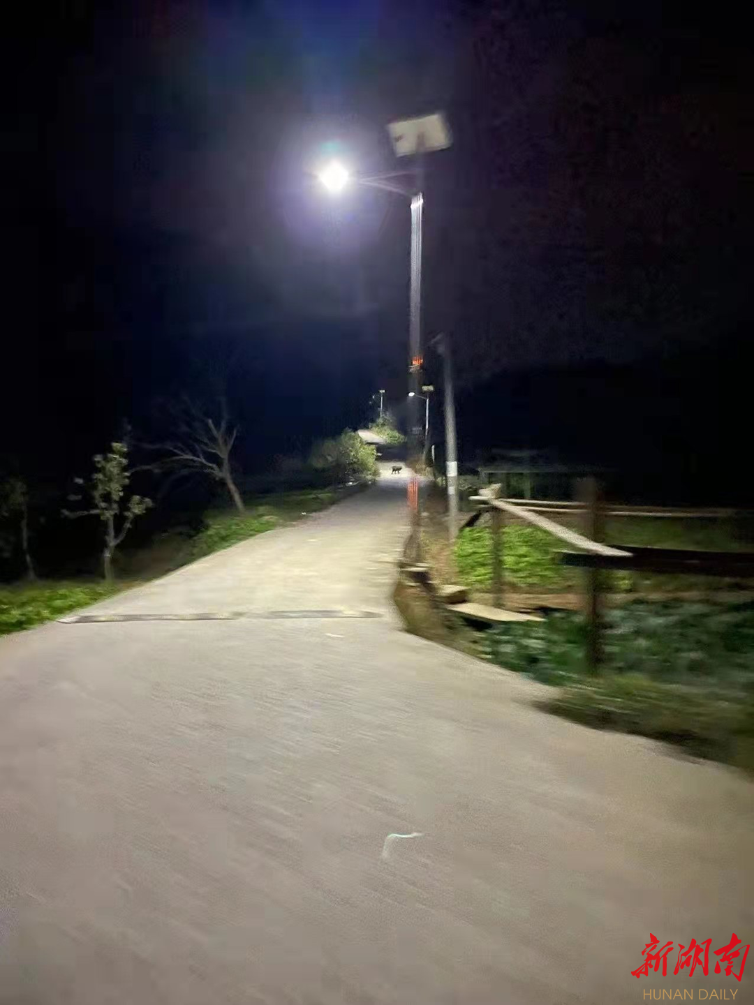 云溪街道槠木桥社区：帮居民安装路灯过年，给全村带来光明