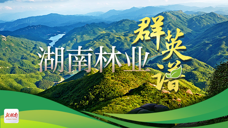 大力弘扬行业精神 推动湖南林业行稳致远