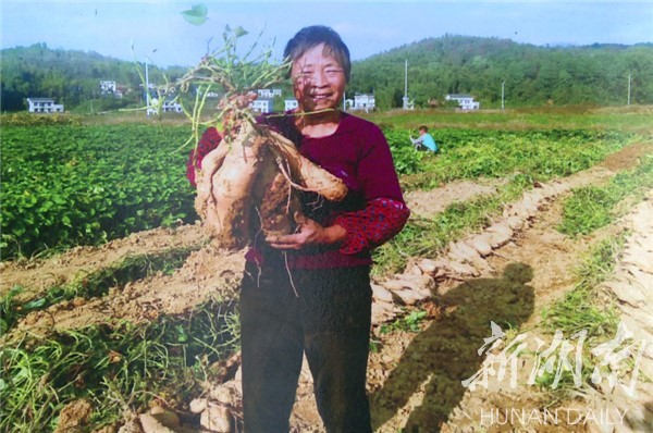 湘潭县：红薯深加工 富了乡亲 兴了乡村