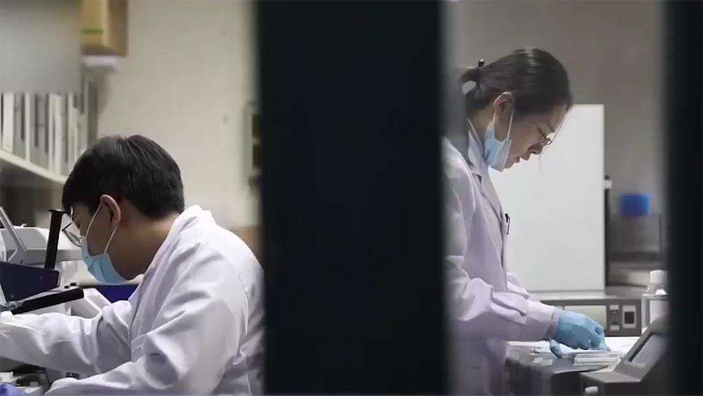 国产抗新冠病毒药对奥密克戎有效