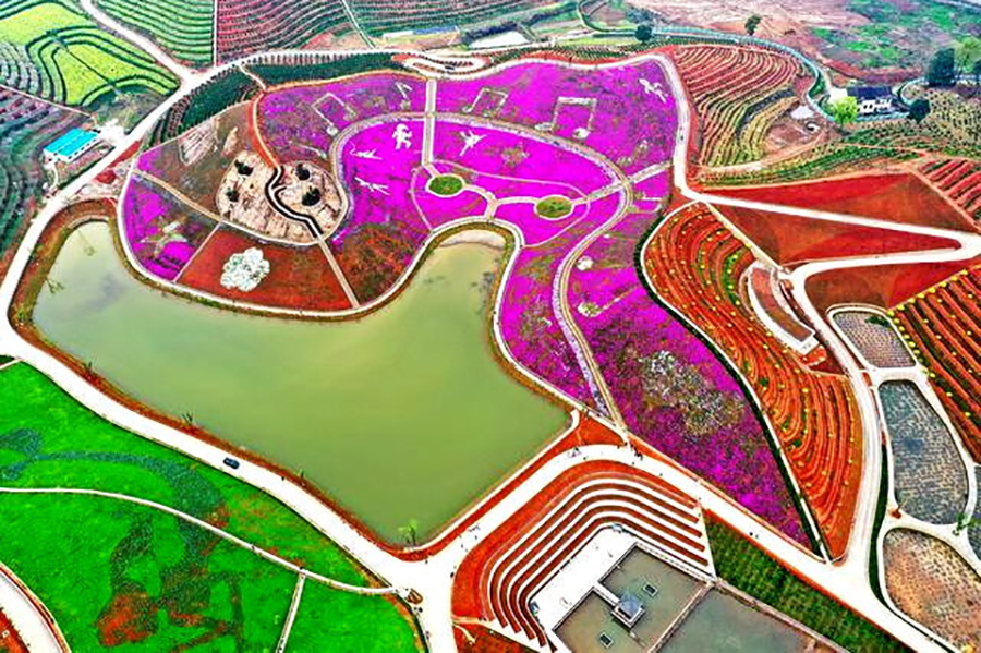 龙塘镇：茶旅融合创佳绩 产业富农促振兴