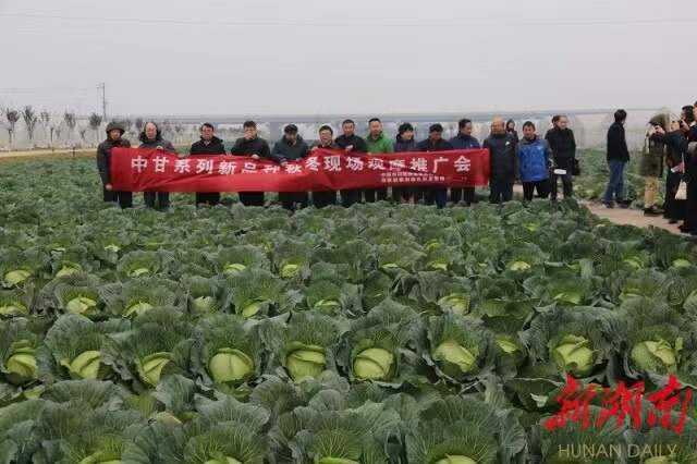 湖南日报 || 发展特色产业 领跑现代农业